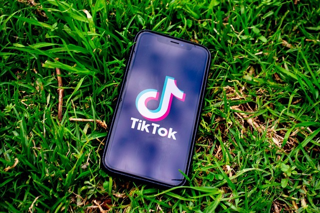 tiktok statistics show phone with tiktok logo