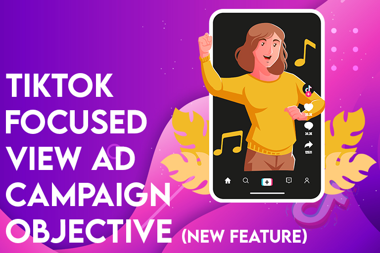 TikTok-focused view ad campaign objective