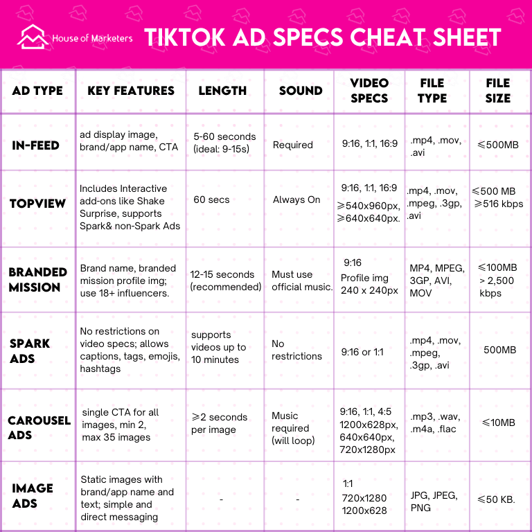 tiktok ads overview for beginners